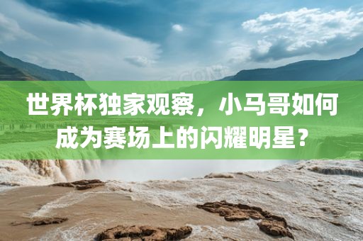 世界杯独家观察，小马哥如何成为赛场上的闪耀明星？眉山市正发家政服务有限公司