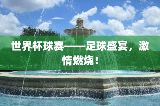 世界杯球赛——足球盛宴，激情燃烧！眉山市正发家政服务有限公司