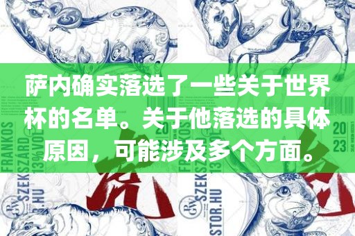 萨内确实落选了一些关于世界杯的名单。关于他落选的具体原因，可能涉及多个方面。眉山市正发家政服务有限公司