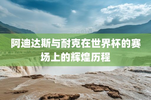 阿迪达斯与耐克在世界杯的赛场上的辉煌历程眉山市正发家政服务有限公司