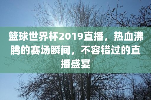 篮球世界杯2019直播，热血沸腾的赛场瞬间，不容错过的直播盛宴