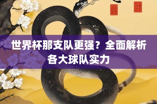 世界杯那支队更强？全面解析各大球眉山市正发家政服务有限公司队实力