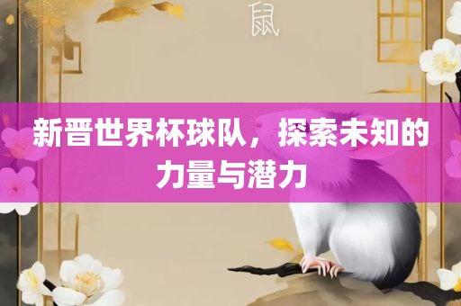 新晋世界杯球队，探索未知的力量与潜力