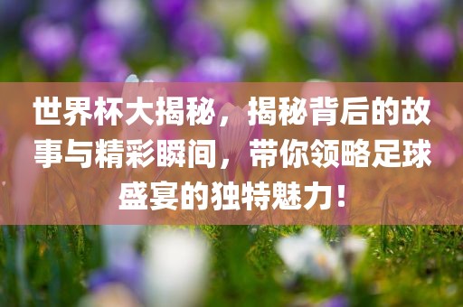 世界杯大揭秘，揭秘背后的故事与精彩瞬间，带你领略足球盛宴的独特魅力！眉山市正发家政服务有限公司