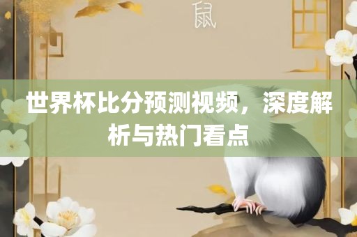 世界杯比分预测视频，深度解析与热门看点