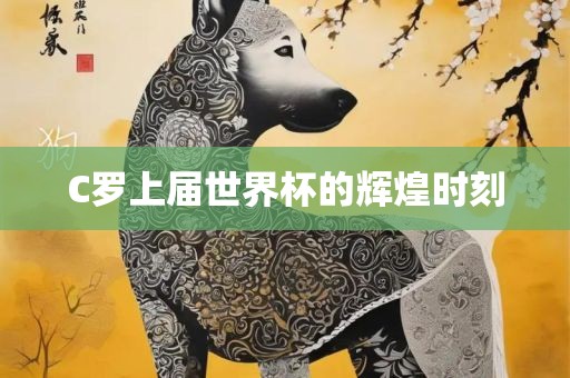 C罗上届世界杯的辉煌时刻眉山市正发家政服务有限公司