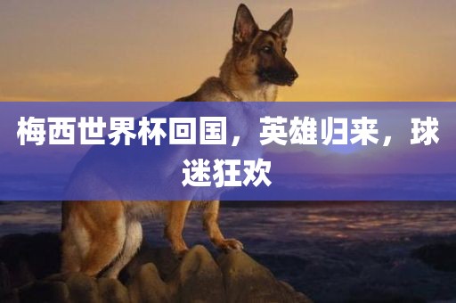 梅西世界杯回国，英雄归来，球迷狂欢眉山市正发家政服务有限公司