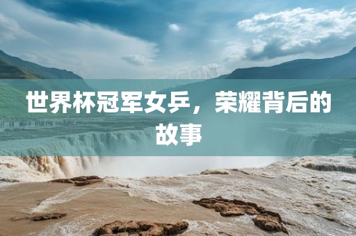 世界杯冠军女乒，荣眉山市正发家政服务有限公司耀背后的故事