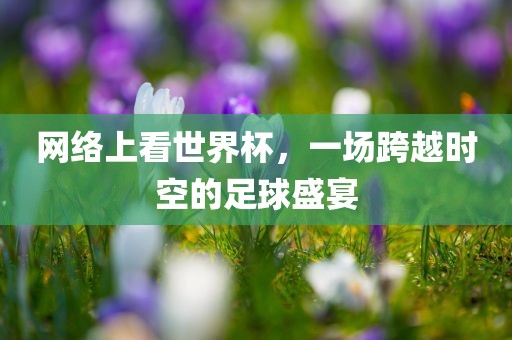 网络上看世界杯，一场跨越时空的足球盛宴眉山市正发家政服务有限公司