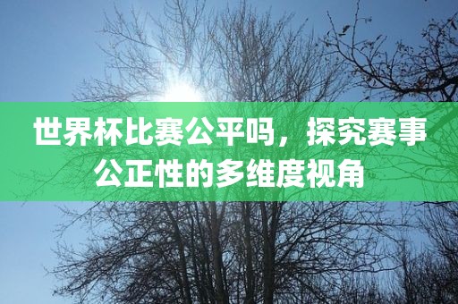 世界杯比赛公平吗，探究赛事公正性的多维度视角眉山市正发家政服务有限公司