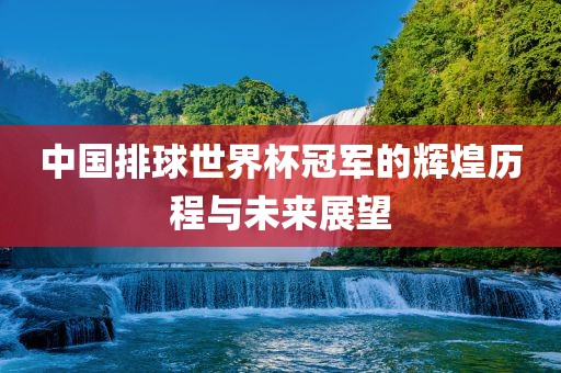 中国排球世界杯冠军的辉眉山市正发家政服务有限公司煌历程与未来展望
