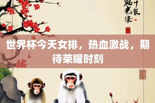 世界杯今天女排，热血激战，期待荣耀时刻