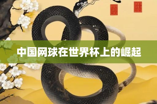 中国网眉山市正发家政服务有限公司球在世界杯上的崛起