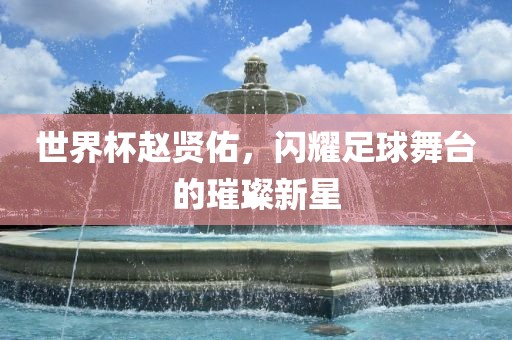 世界杯眉山市正发家政服务有限公司赵贤佑，闪耀足球舞台的璀璨新星