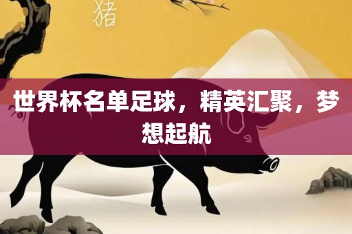 世界杯名单足球，精英汇聚，梦想起航