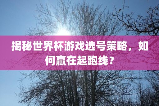 揭秘世界杯游戏选号策略，如何赢在起跑线？眉山市正发家政服务有限公司