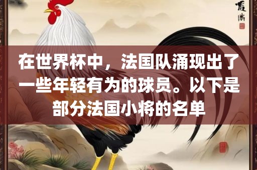 在世界杯中，法国队涌现出了一些年轻有为的球员。以下是部分法国小将的名单眉山市正发家政服务有限公司