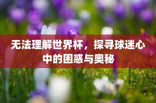 无法理解世界杯，探寻球迷心中的困惑与奥秘眉山市正发家政服务有限公司