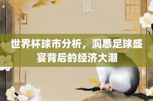 世界杯球市分析，洞悉足球盛宴背后的经济大潮眉山市正发家政服务有限公司