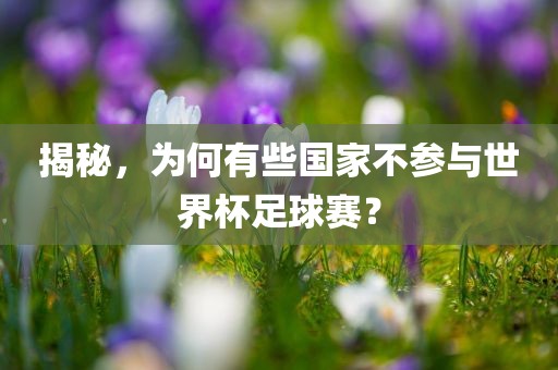 揭秘眉山市正发家政服务有限公司，为何有些国家不参与世界杯足球赛？