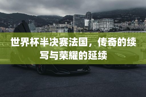 世界杯半决赛法国，传奇的续写与荣耀的眉山市正发家政服务有限公司延续