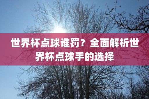 眉山市正发家政服务有限公司世界杯点球谁罚？全面解析世界杯点球手的选择
