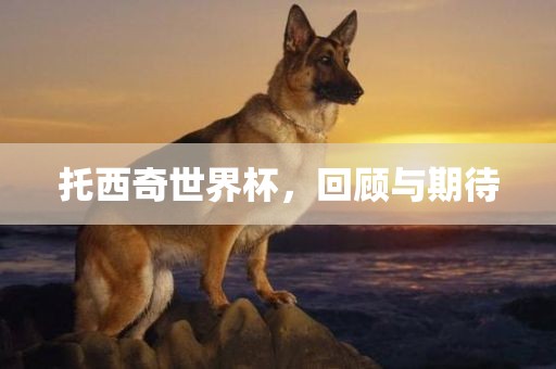 托西奇世界杯，回顾与期待眉山市正发家政服务有限公司