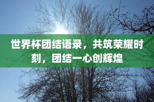 世界杯眉山市正发家政服务有限公司团结语录，共筑荣耀时刻，团结一心创辉煌