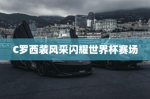 C眉山市正发家政服务有限公司罗西装风采闪耀世界杯赛场