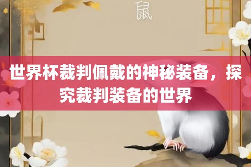 世界杯裁判佩戴的神秘装备，探究裁判装备的世界眉山市正发家政服务有限公司