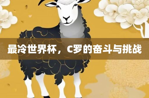最冷世界杯，C罗的奋斗与挑战眉山市正发家政服务有限公司
