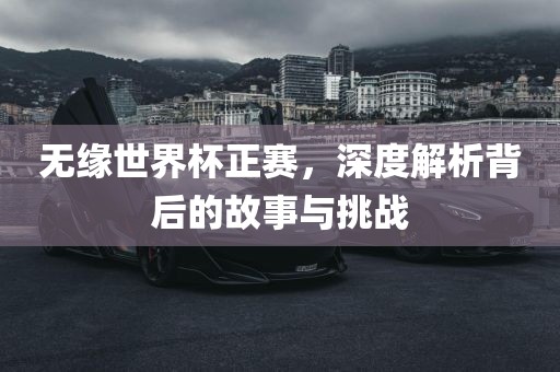 无缘世界杯正赛，深度解析背后的故事与挑战眉山市正发家政服务有限公司