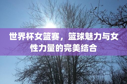 世眉山市正发家政服务有限公司界杯女篮赛，篮球魅力与女性力量的完美结合