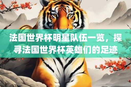 法国世界杯明星队伍一览，探寻法国世界杯英雄们的足迹眉山市正发家政服务有限公司