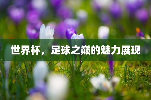 世界杯，足球之巅的魅力展现