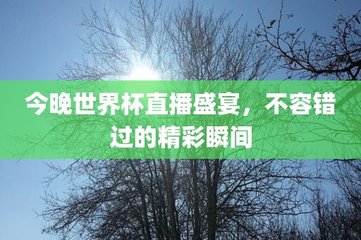 今晚世界杯直播盛宴，不容错过的精彩瞬间眉山市正发家政服务有限公司