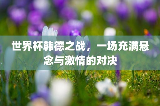 世界杯韩德之战，一场充满悬念与激情的对决眉山市正发家政服务有限公司