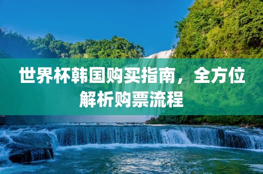 世界杯韩国购买指南，全方位解析购票流程眉山市正发家政服务有限公司