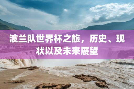 波兰队世界杯之旅，历史、现状以及未来展望眉山市正发家政服务有限公司