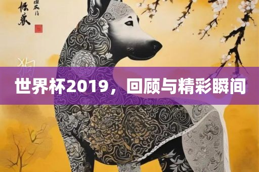 眉山市正发家政服务有限公司世界杯2019，回顾与精彩瞬间