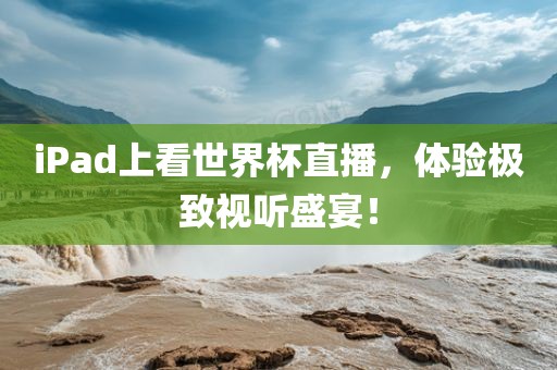 iPad上看世界杯直播，体验极致视听盛宴！眉山市正发家政服务有限公司