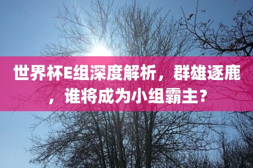 世界杯E组深度解析，群雄逐鹿，谁将成为小组霸主？