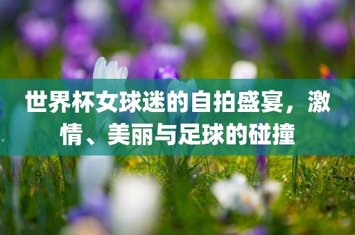 世界杯女球迷的自拍盛宴，激情、美丽与足球的碰撞眉山市正发家政服务有限公司