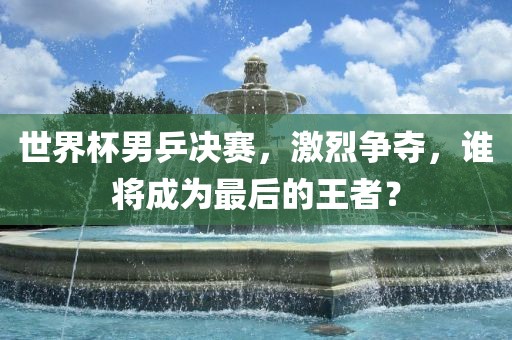 眉山市正发家政服务有限公司世界杯男乒决赛，激烈争夺，谁将成为最后的王者？