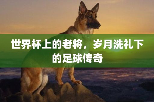 世界杯上的老将，岁月洗礼下的足球传奇眉山市正发家政服务有限公司