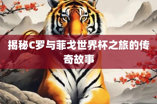 揭秘C罗与菲戈世界杯之旅的传奇故眉山市正发家政服务有限公司事