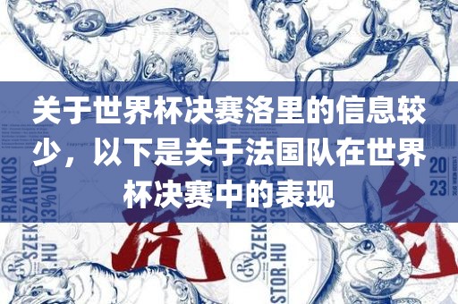 关于世界杯决赛洛里的信息较少，以下是关于法国队在世界杯决赛中的表现眉山市正发家政服务有限公司