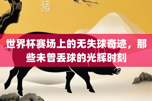 世界杯赛场上的无失球奇迹，那些未曾丢球的光辉时刻眉山市正发家政服务有限公司