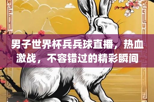 男子世界杯兵兵球直播，热血激战，不容错过的精彩瞬间眉山市正发家政服务有限公司