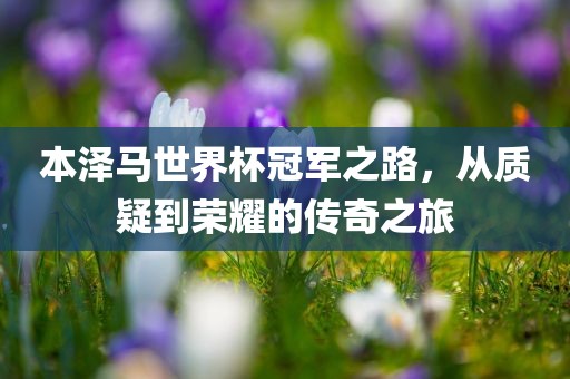 本泽马世界杯冠军之路，从质疑到荣耀的传奇之旅眉山市正发家政服务有限公司